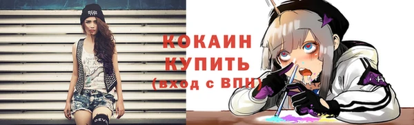 стафф Заволжск