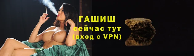 стафф Заволжск
