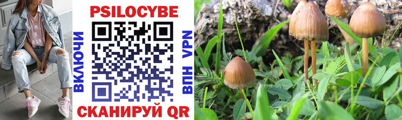 Галлюциногенные грибы прущие грибы  Купить закладки  Кузнецк 
